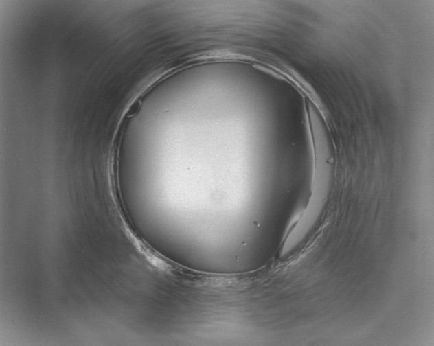 X0000072490909200608111559