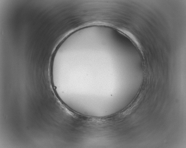 X0000072490910200608111559