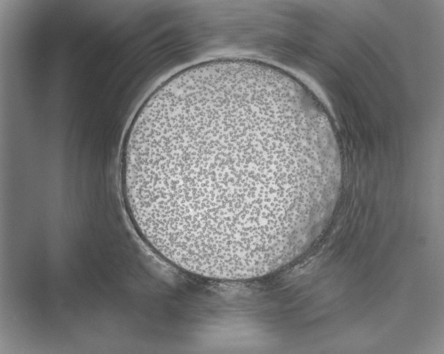 X0000072490911200608111559