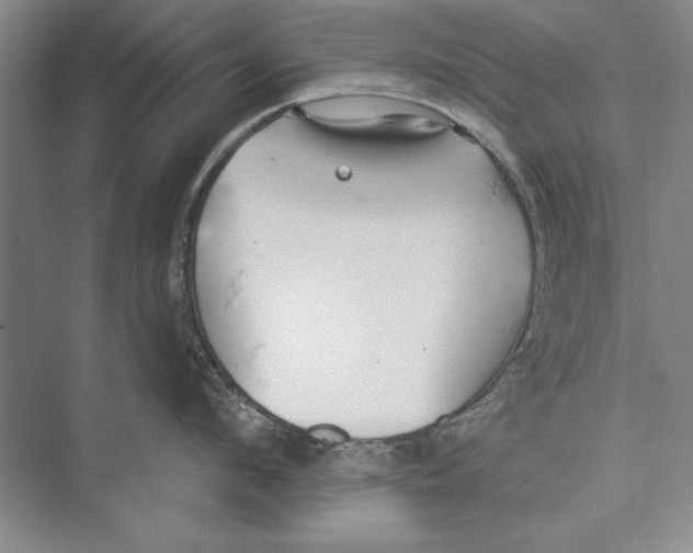 X0000072490912200608111559