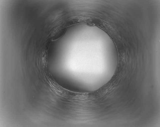 X0000072490914200608111558