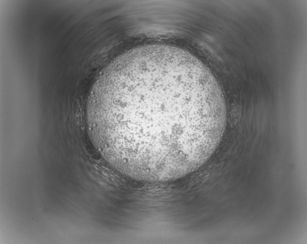 X0000072490917200608111558