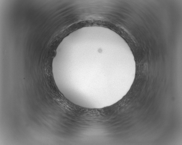 X0000072490919200608111558