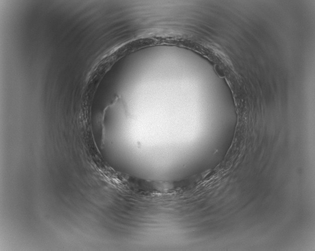 X0000072490920200608111558