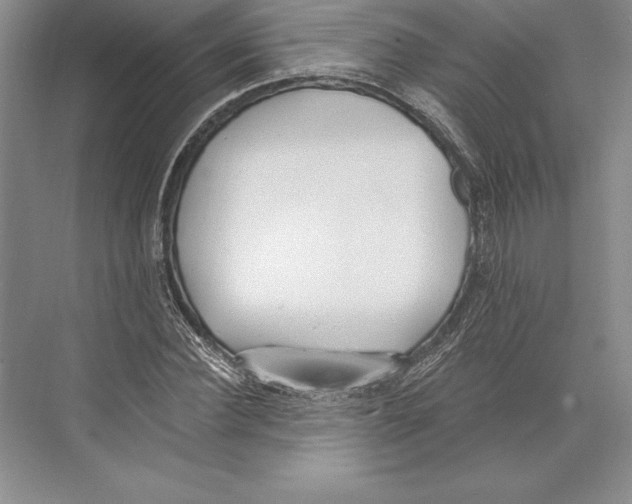 X0000072490924200608111558