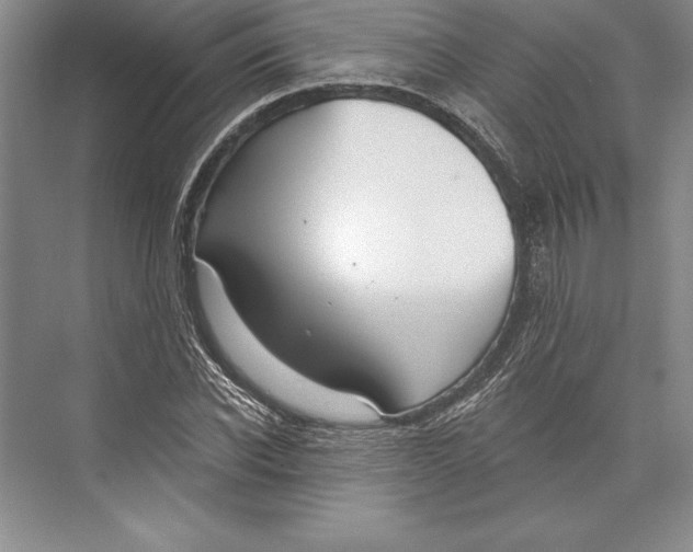 X0000072490926200608111558