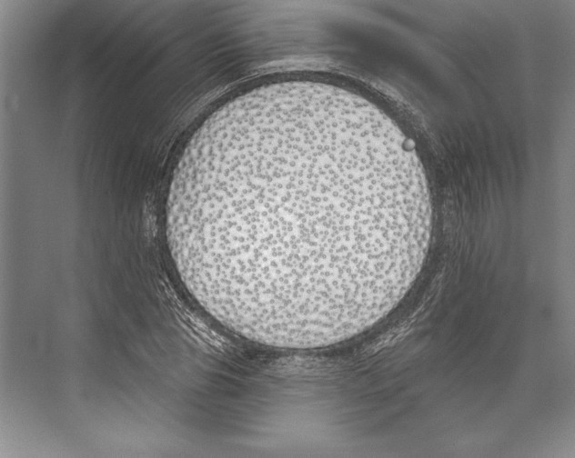 X0000072490929200608111558