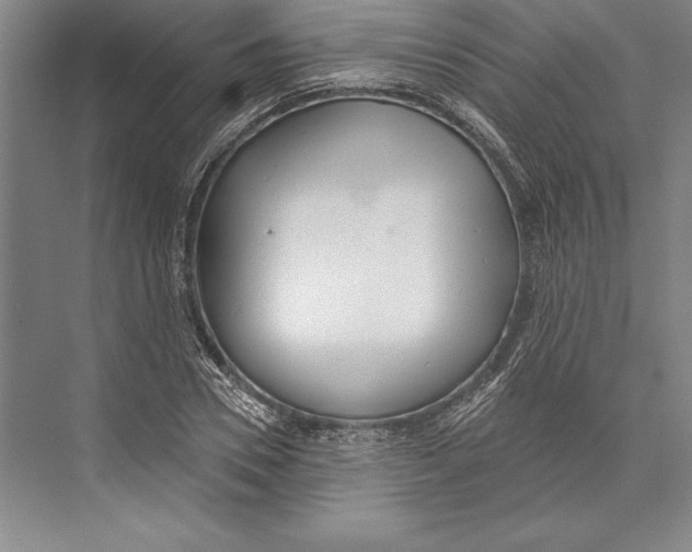 X0000072490930200608111558