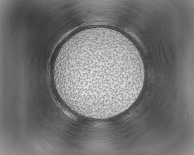 X0000072490933200608111558