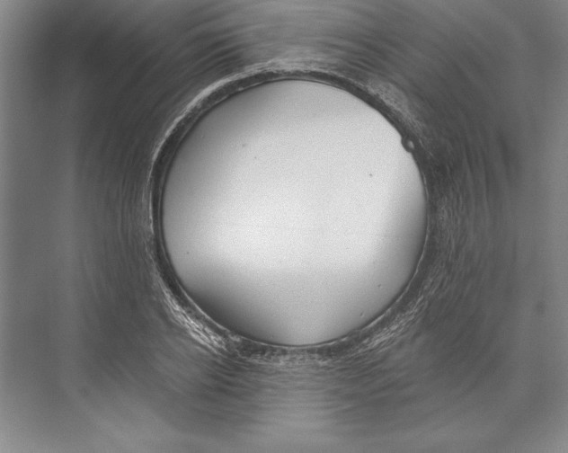 X0000072490934200608111558