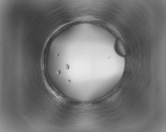 X0000072490939200608111558