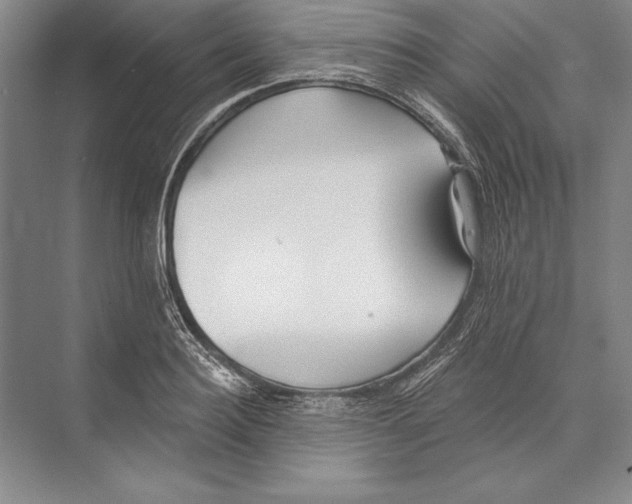 X0000072490940200608111558