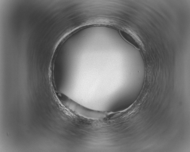 X0000072490944200608111558