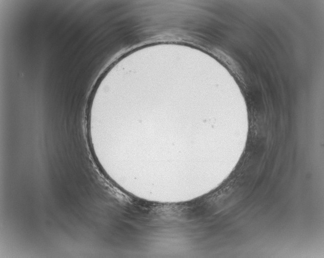 X0000072490950200608111558