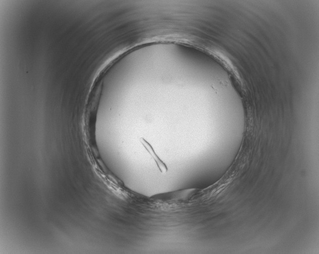 X0000072490952200608111558