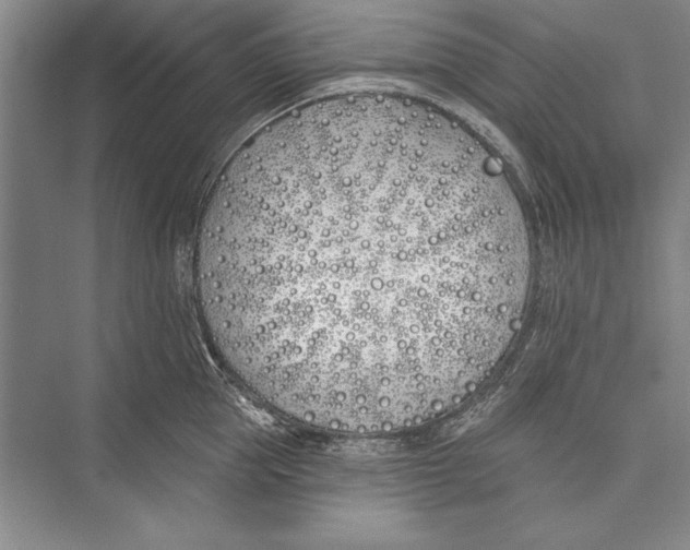 X0000072490953200608111558