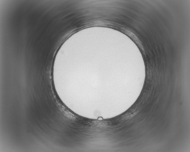 X0000072490954200608111558