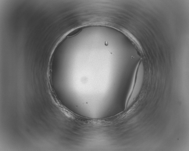 X0000072490956200608111558