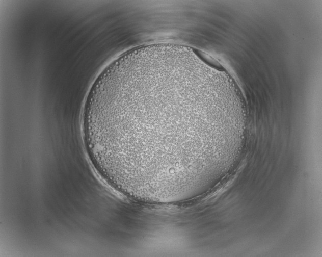 X0000072490957200608111558