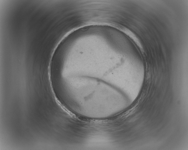 X0000072490958200608111559