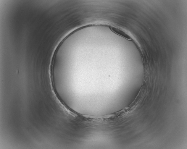 X0000072490959200608111559