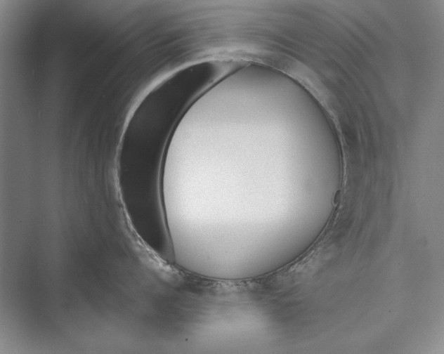 X0000072490960200608111559