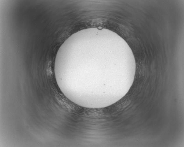 X0000072490962200608111558