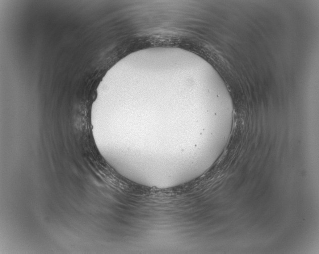 X0000072490964200608111558