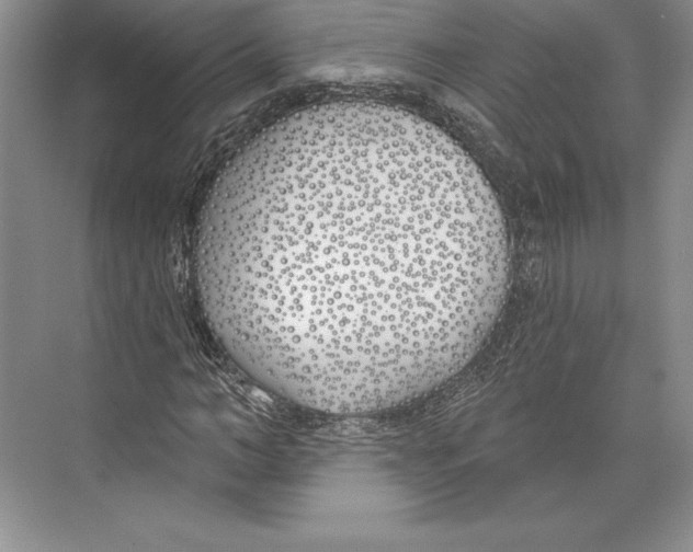 X0000072490966200608111558