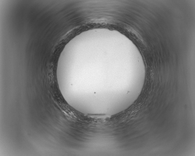 X0000072490968200608111558