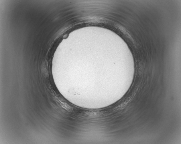 X0000072490970200608111558