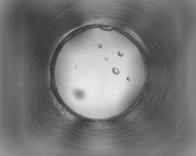 X0000072490980200608111557