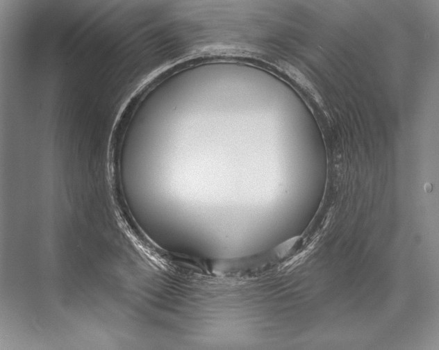 X0000072490981200608111557