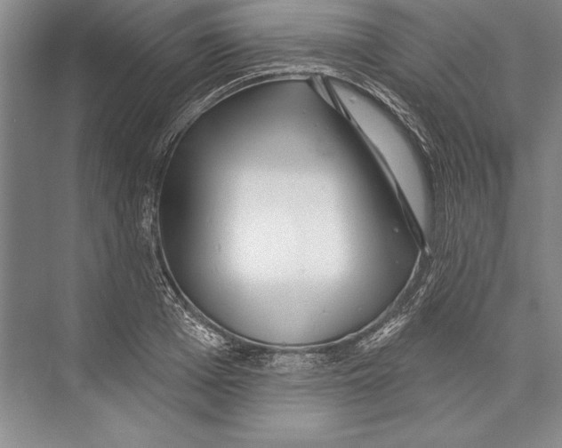 X0000072490985200608111557