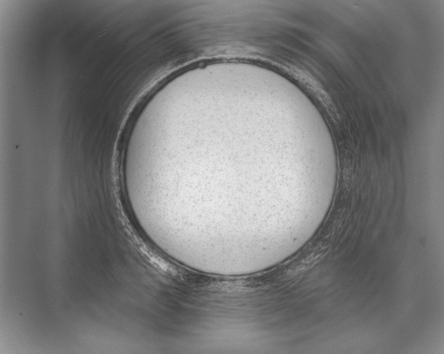 X0000072490990200608111557