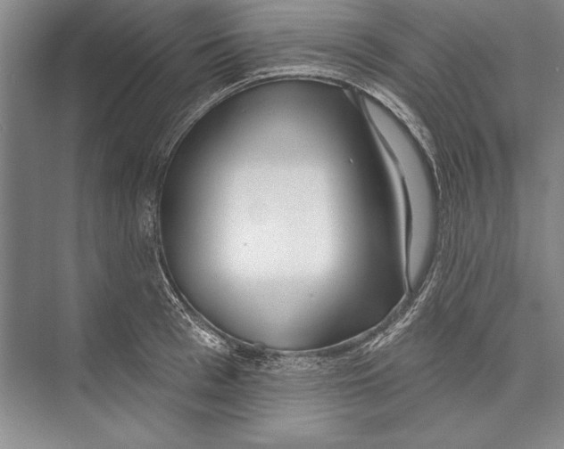 X0000072490993200608111557