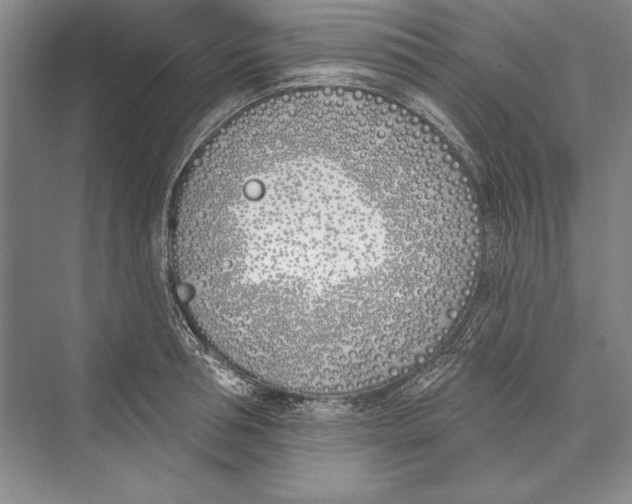 X0000072490994200608111557