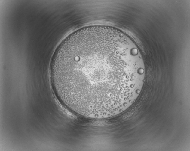 X0000072490998200608111557