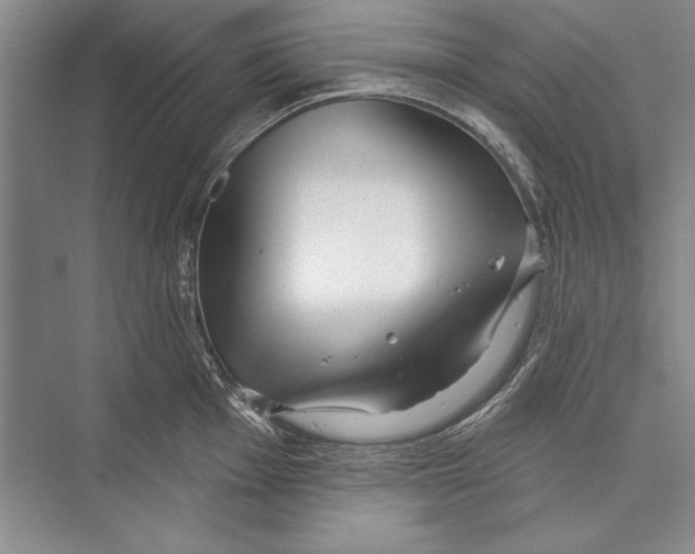 X0000072491001200608111557