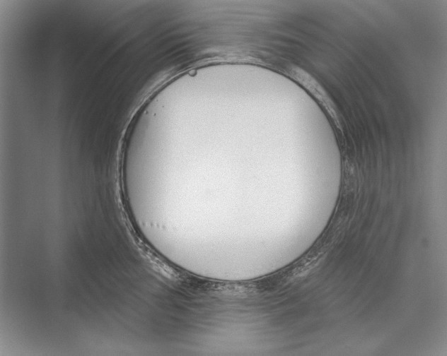 X0000072491002200608111557