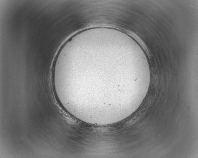 X0000072491004200608111557