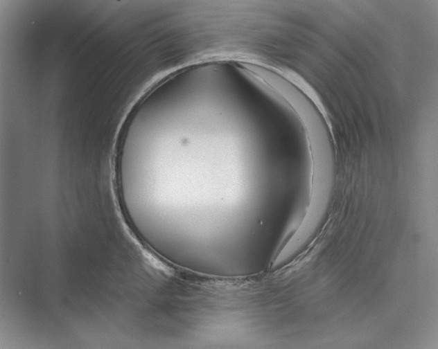 X0000072491005200608111557