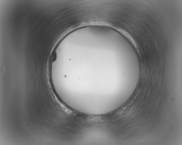 X0000072491006200608111557