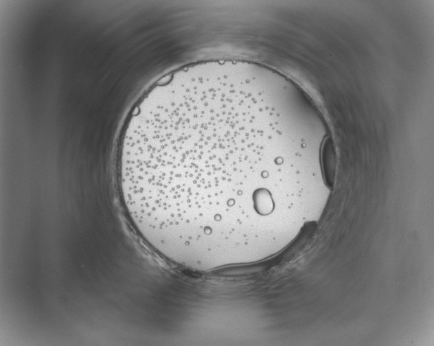 X0000072491008200608111557