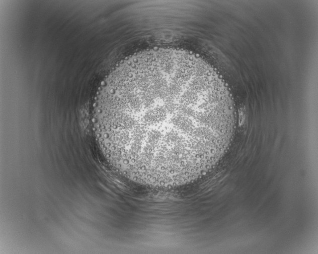 X0000072491011200608111556