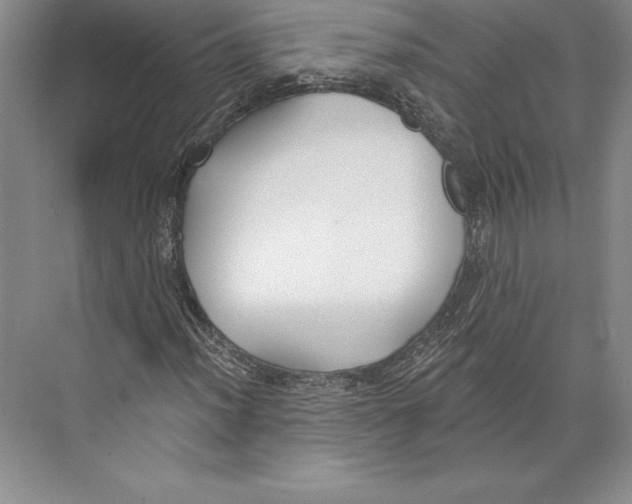 X0000072491012200608111556