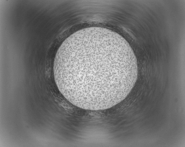 X0000072491015200608111556