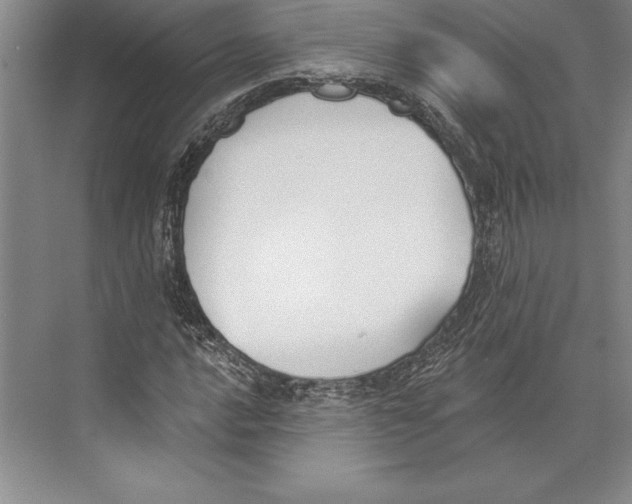 X0000072491016200608111556