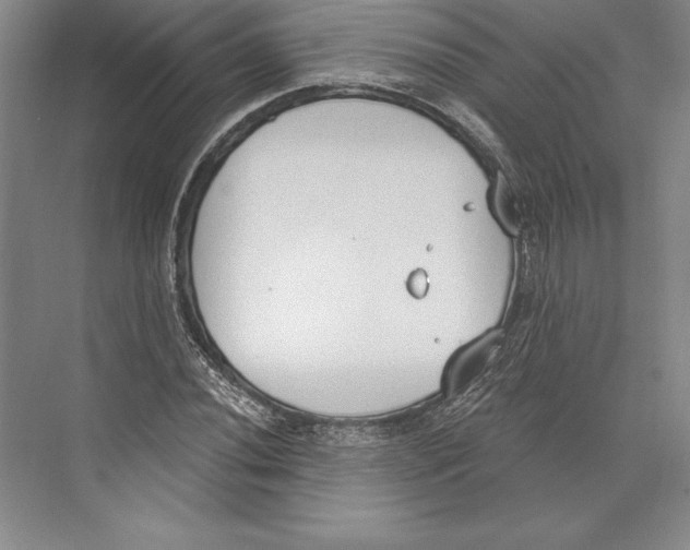 X0000072491020200608111556