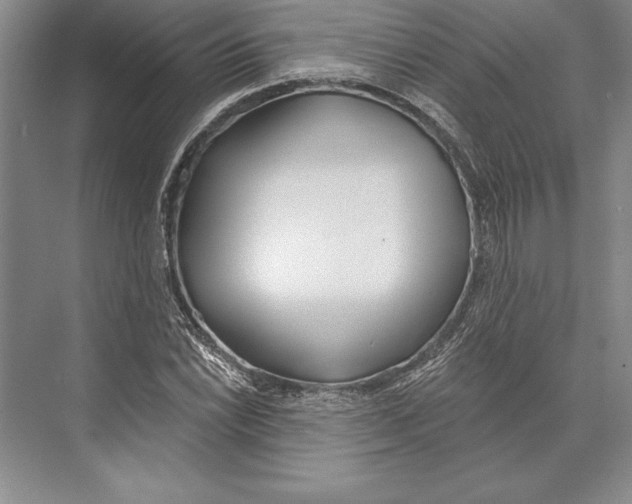 X0000072491022200608111556